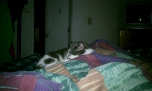 Lenny on my left